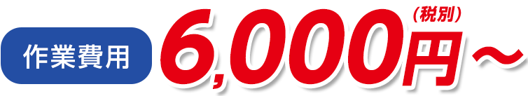 作業費用 6,000円(税別)～
